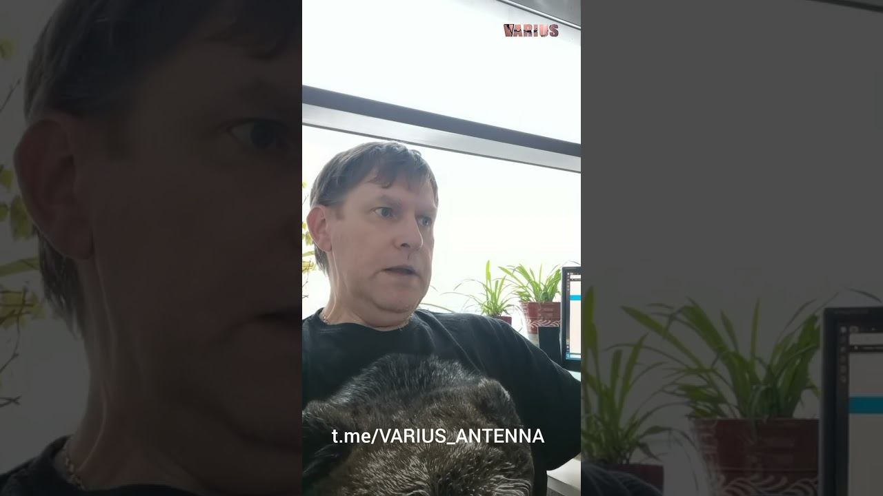 СРОЧНО важное сообщение по сотовой связи в России смотреть онлайн