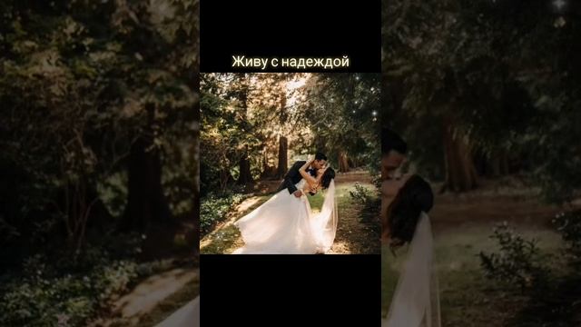 Живу с надеждой Автор и исполнитель: Владимир Курочкин смотреть онлайн