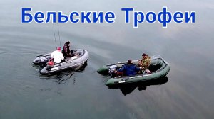 ОГРОМНЫЕ СУДАКИ на ДЖИГ .Река Белая. Рыбалка в Башкирии