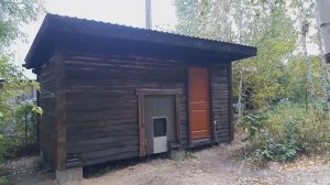 Бюджетная каркасная баня своими руками (утепленная стружкой, с утепленным полом)