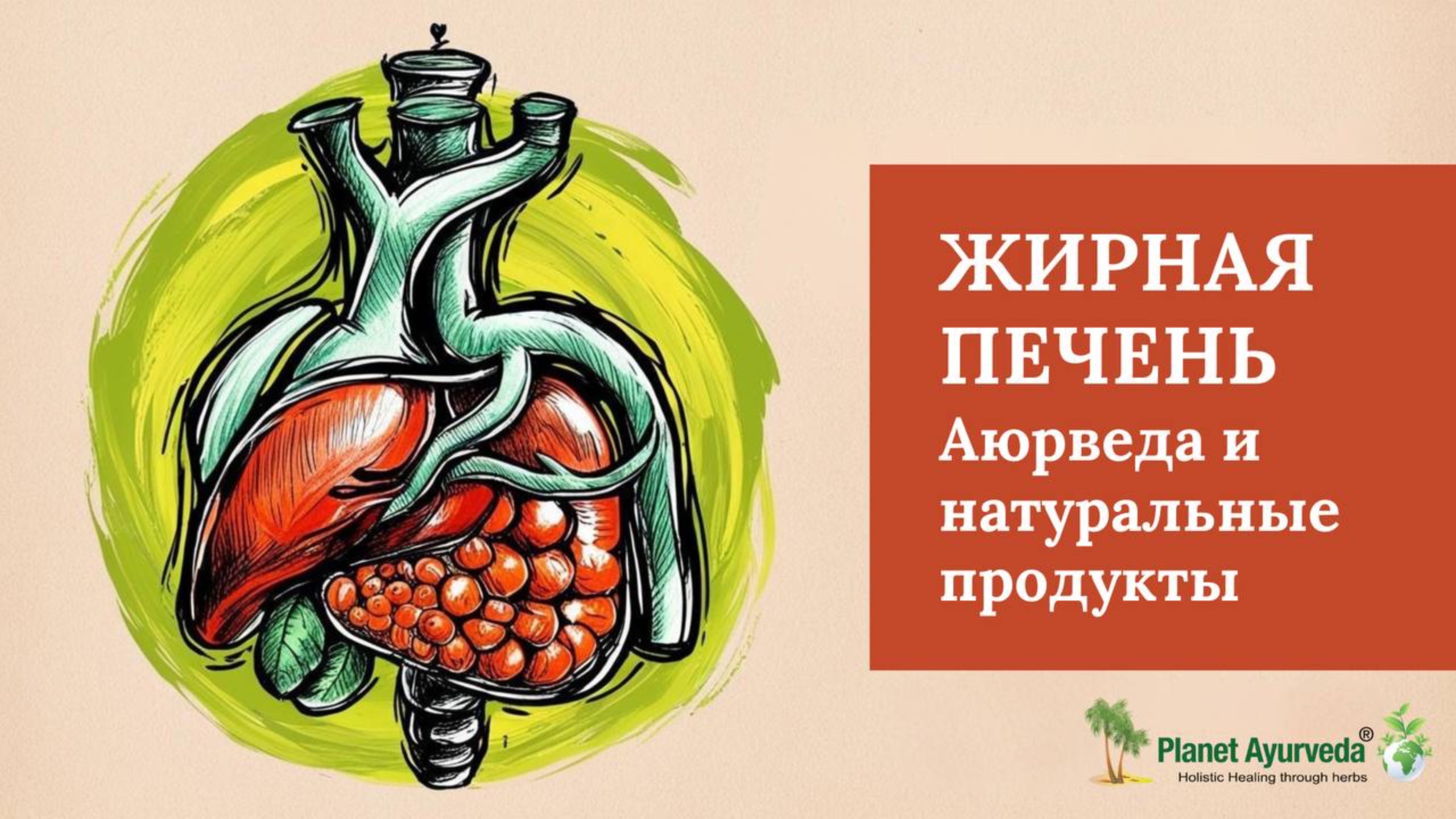 Аюрведа для печени: Как избавиться от жирной печени и восстановить здоровье? смотреть онлайн