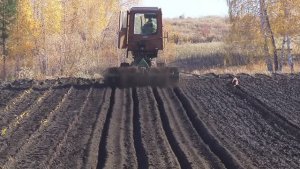 Щелеобразователь роторный ЩР-2,8