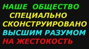 Почему бог такой жестокий, любящий не означает добрый!