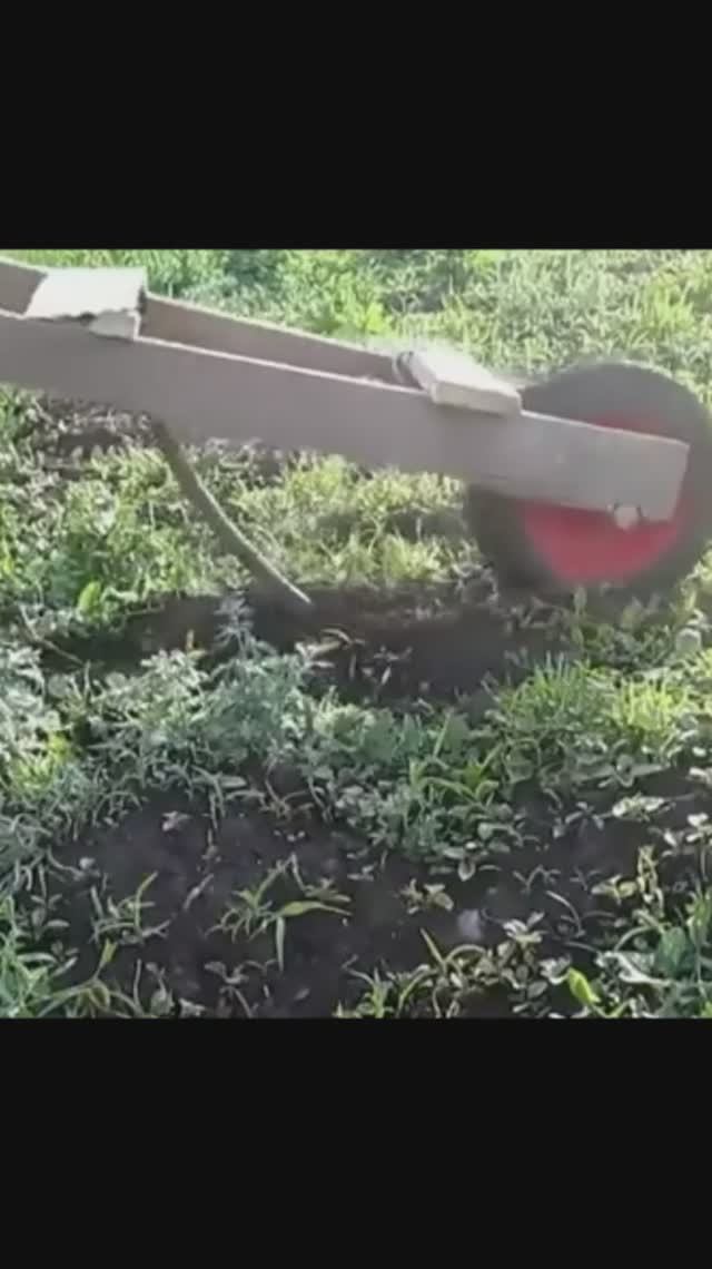 Ручной культиватор для прополки междурядий. Прополка картофеля смотреть онлайн