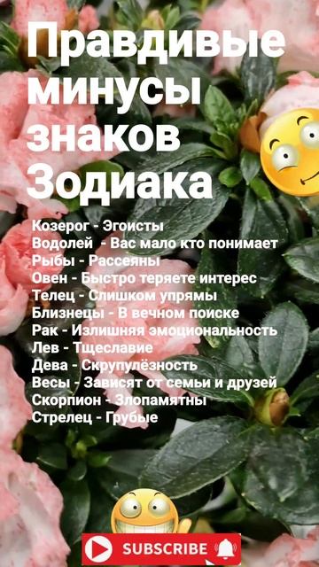 Правдивые минусы знаков Зодиака смотреть онлайн