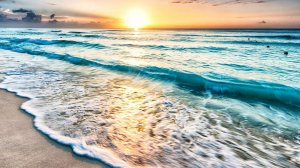 Океан. Обитатели океана. Красивые морские пейзажи. морские жители. ч.1