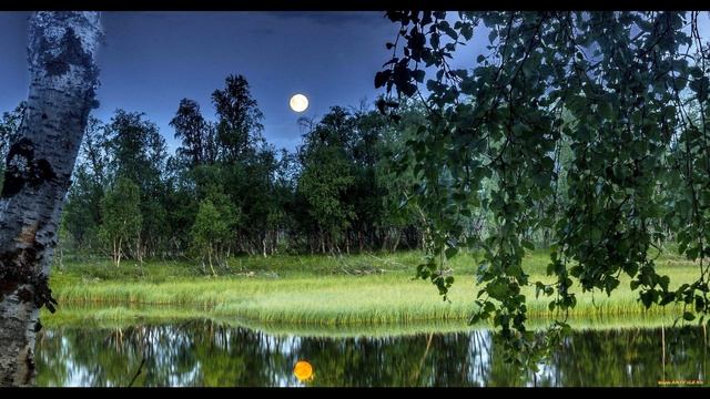 С  Есенин  Ночь #стихиолете #поэтысеребряноговека