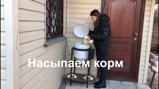 Автоматическая профессиональная шнековая кормушка для животных смотреть онлайн