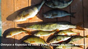 Карелия в августе! Провожу отпуск у себя в Карелии! Ловим на нашем озере! Спиннинг на лесных озерах