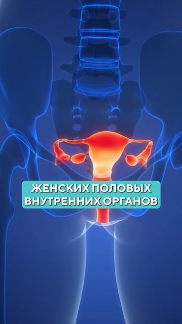 УБЕРУТ ли липолитики ЖИР на ЖИВОТЕ? #липолитики #похудение #косметология смотреть онлайн