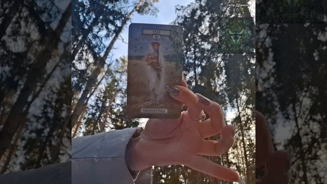 ⚡️🌲Послание для Вас от Батюшки Велеса 🌲⚡️ смотреть онлайн