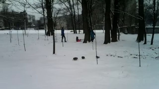 Утиные Истории) смотреть онлайн