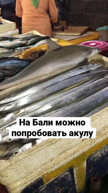 Можно ли есть мясо акулы? смотреть онлайн