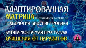 Антипаразитарная программа 🎶 программа матрица по технологии Гаряева П.П ☀️ SoftRadio.ru
