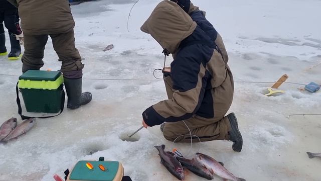 11-02-2025 смотреть онлайн