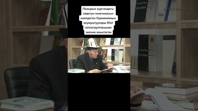 Пазырык кургандагы сөөктүн генетикасы R1a1 гаплогруппасынан // ТикТок: dastan_sarygulov смотреть онлайн