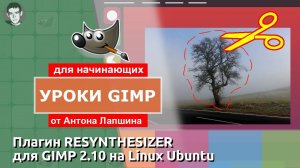 Как удалить лишние объекты с фото с помощью редактора GIMP 2.10 (Linux Ubuntu)