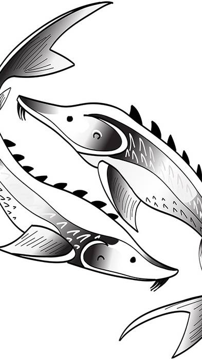 Мальковник  Астрахань продолжение.