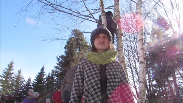 Ждем скворцов! смотреть онлайн