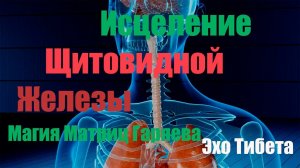 "Исцеление Щитовидной Железы: Магия Матриц Гаряева "