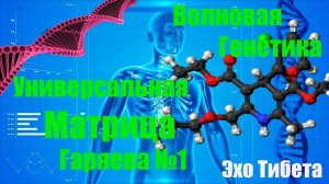 Универсальную Матрица Гаряева №1 #исцеление