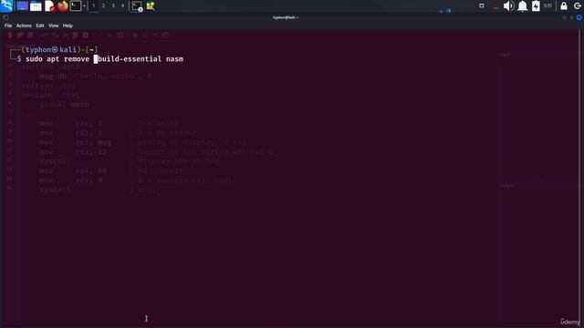 10. Writing our first 64Bit Assembly Program 1. Hello world with makefile смотреть онлайн