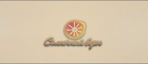 Коттеджный поселок 'Солнечный Берег'