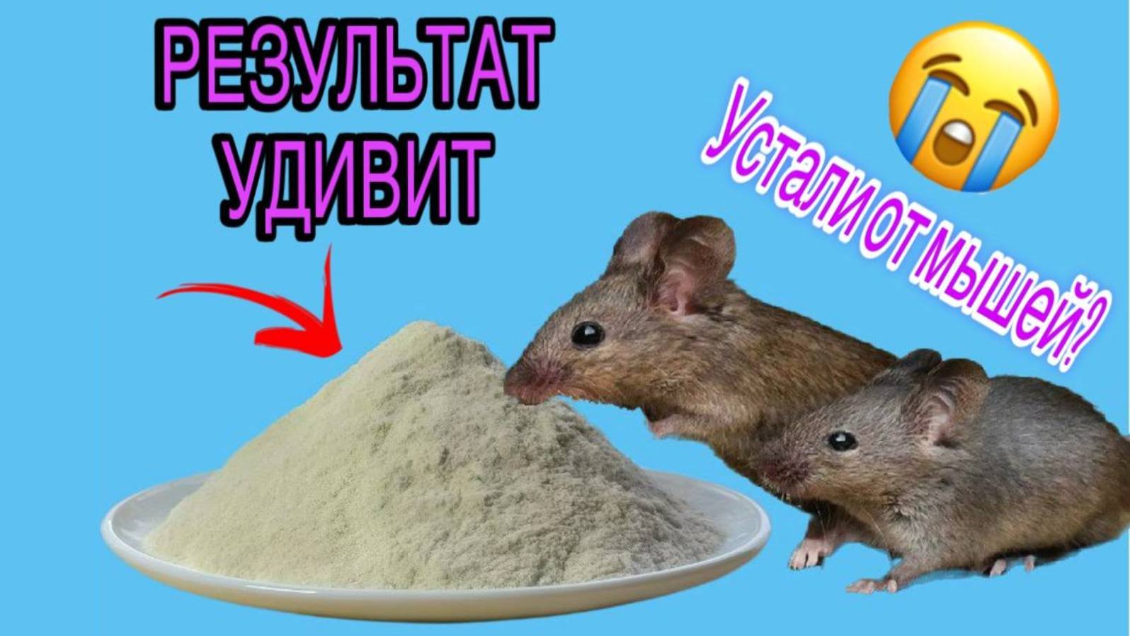 Надоела мышиная возня и я нашёл простое средство. смотреть онлайн