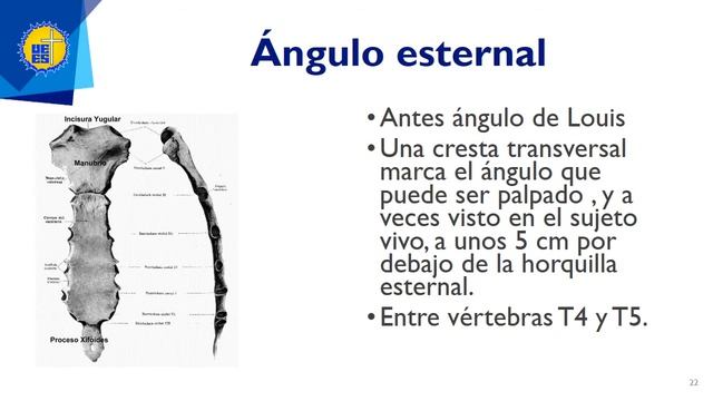 Clase Caja Torácica - Dra. Alejandra Mira