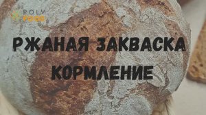 Кормление (ведение) закваски "Ржаная. ВЕЧНАЯ" от PolyFood