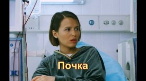 Обзор сериала «Почка»
