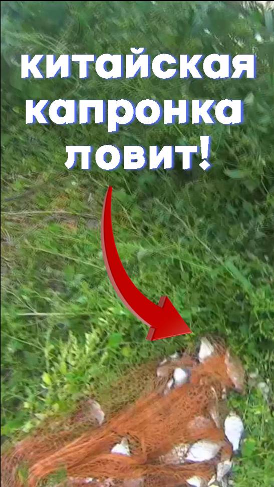Рыбалка на Китайскую кастинговую сеть из капрона! смотреть онлайн