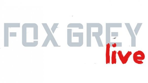 Fox Grey Live - Новости без политики.