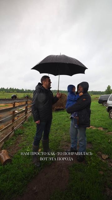 ЛУЧШАЯ порода коз! #бизнесвдеревне #коза смотреть онлайн