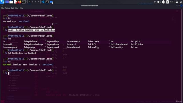 22. Malware Injection with JMP Instruction 1. Shellcode with JMP and Malware Injected смотреть онлайн