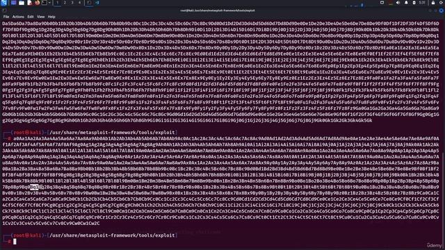 29 Developing Exploit for Real Applications 3. Creating Pattern and Adding to Script смотреть онлайн