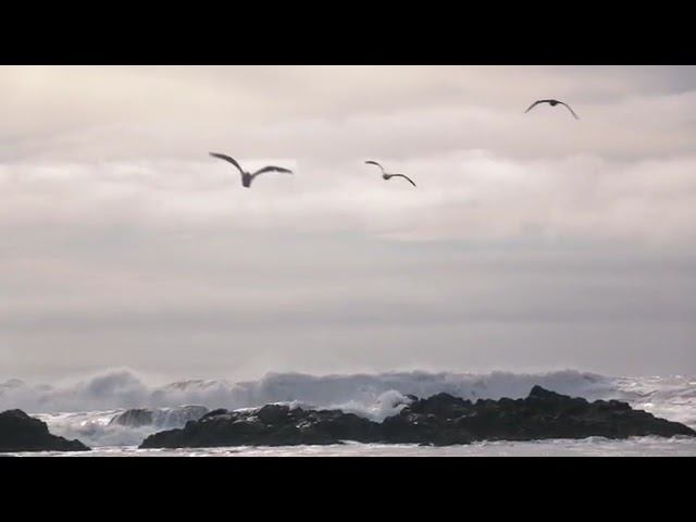 Расслабляющая музыка для снятия стресса. Успокаивающая музыка для медитации, сна, массажа.