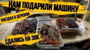 РАЗОБРАЛИ УЗИ АППАРАТ\5 ХОЛОДОСОВ/КАНДЁР\ПРИНЯЛИ ВАЗ 2111\КОРОБКА ПЕРЕДАЧ\ОТЛИЧНО ЗАРАБОТАЛИ/