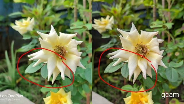 I Used One Plus NORD CE with Google camera _& the results were Amazing смотреть онлайн