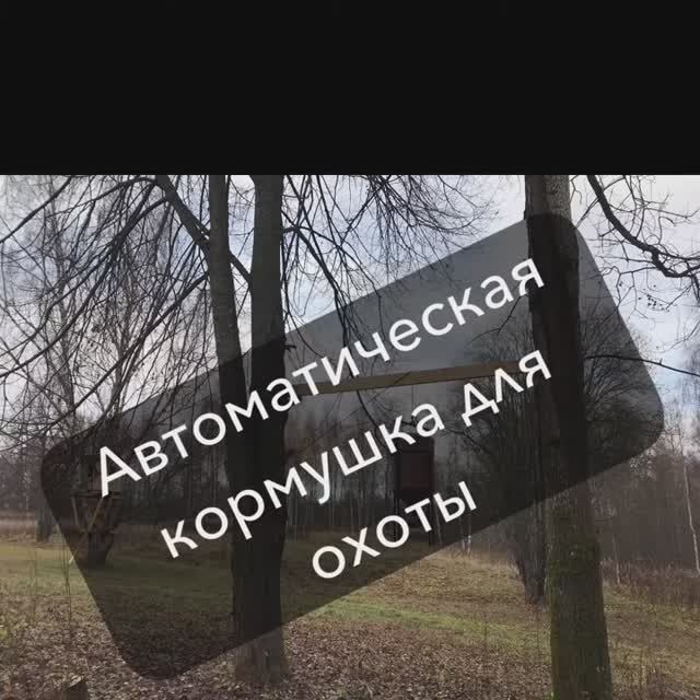 Автоматическая кормушка для охоты смотреть онлайн