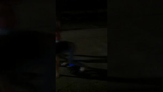 White chick on hover board смотреть онлайн