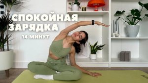 СПОКОЙНАЯ РЕЛАКС ЗАРЯДКА 14 минут | много движений на мобильность и гибкость