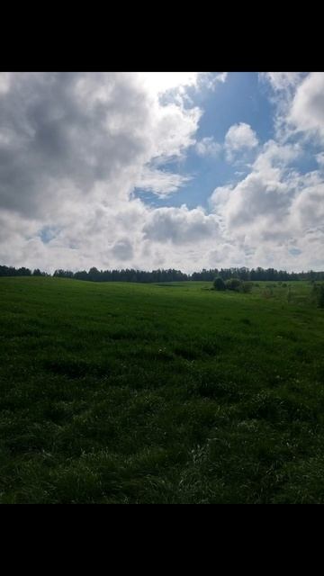 коп смотреть онлайн