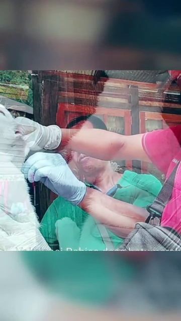Vaksinasi Rabies pada hewan kesayangan смотреть онлайн