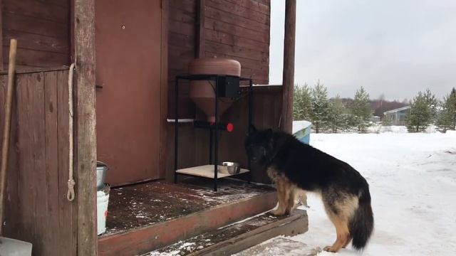 Автоматическая профессиональная шнековая кормушка для животных смотреть онлайн