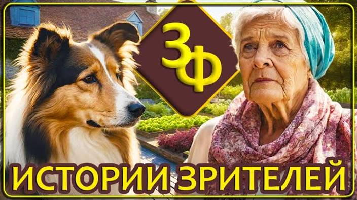 142 Животные какое то время живут с нами после своей смерти смотреть онлайн