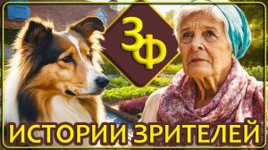 142 Животные какое то время живут с нами после своей смерти