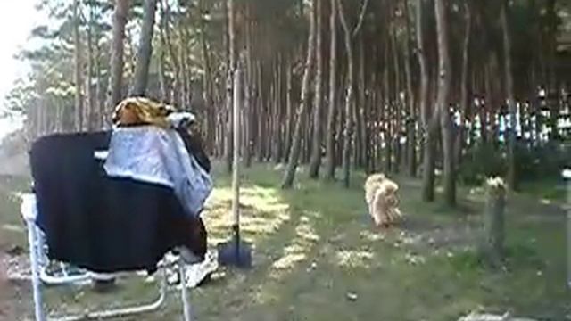 Марик и др. смотреть онлайн