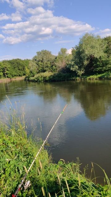VID_20240611_171036 смотреть онлайн